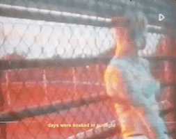 200.gif?cid=fc005b08ee6ec3c0aeee14de63a1ae431c43eced23764f67&rid=200.gif&ct=g