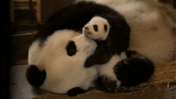 mama GIF by Neon Panda MX