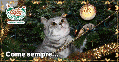 Everyday natale happy christmas cibo per cani e gatti ritorante per cani GIF