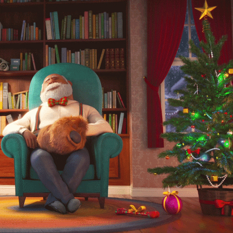 Happy Christmas GIF by The Secret Life Of Pets