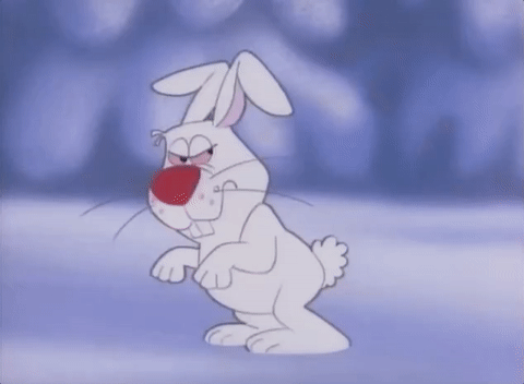 Frosty The Snowman Rabbit