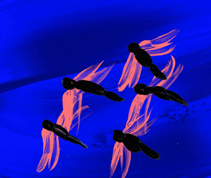 Ana Mouyis animated GIF