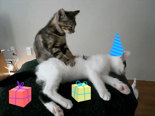 GIF