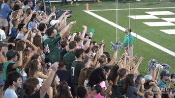 football fans GIF by GreenWave