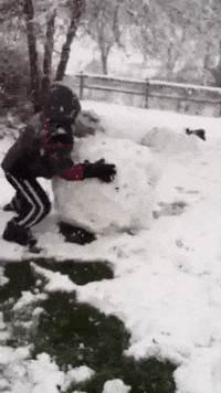 Snow-sticker GIFs - Get the best GIF on GIPHY