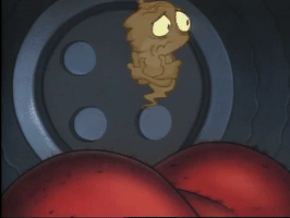 200.gif?cid=fc005b08fed8de2bb0accee8563754bbbe5d735430fd5572&rid=200.gif&ct=g