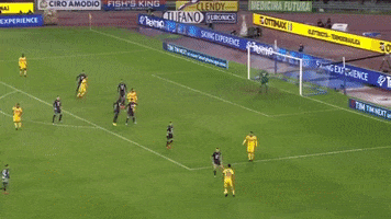 goal save GIF by nss sports