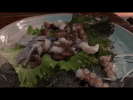San-Nakji Octopus GIF