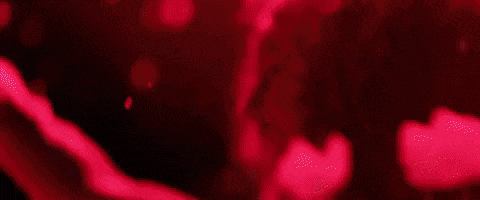 200.gif