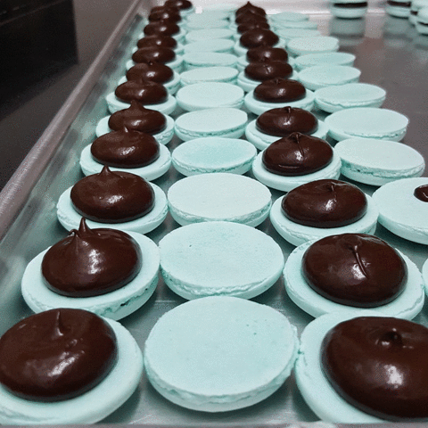merciparismx pastry guadalajara reposteria macarons GIF