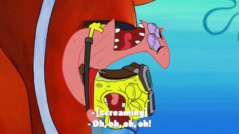 episode 24 spongebob season 9 episode 24 spongebob season 9
