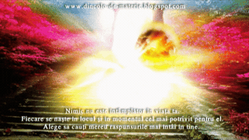gabyvasi mesaj iubire spiritualitate ingeri GIF