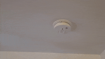 Satisfying Fire Safety GIF by No Cheese Records