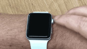 mrcippy  GIF