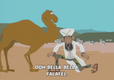 osama bin laden marriage GIF by South Park 