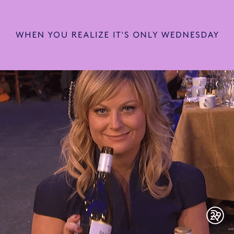 Drunk Amy Poehler Gif By Refinery 29 GIF - Find & Share on GIPHY