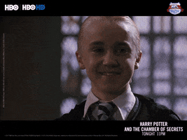 harry potter and the chamber of secrets GIF by HBO India