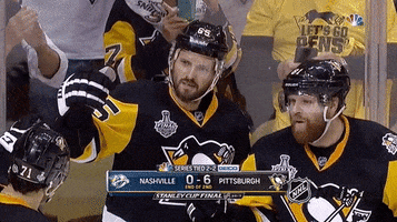2017 stanley cup finals hockey GIF by NHL