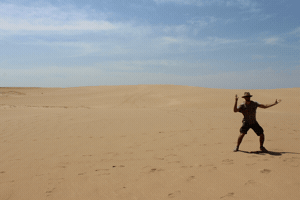 atarquino  GIF