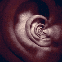Tinnitus GIFs - Find & Share on GIPHY