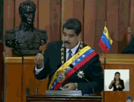 elestimulo  GIF
