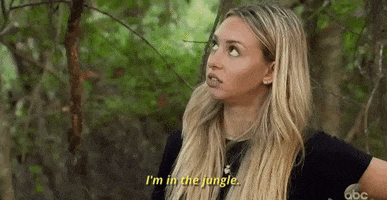 episode 5 jungle GIF by The Bachelor