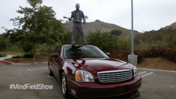 GIF by Mind Field