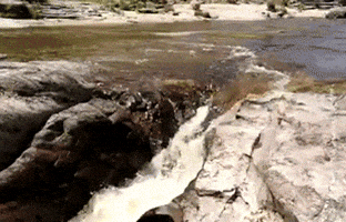 alexeykiyanitsa  GIF
