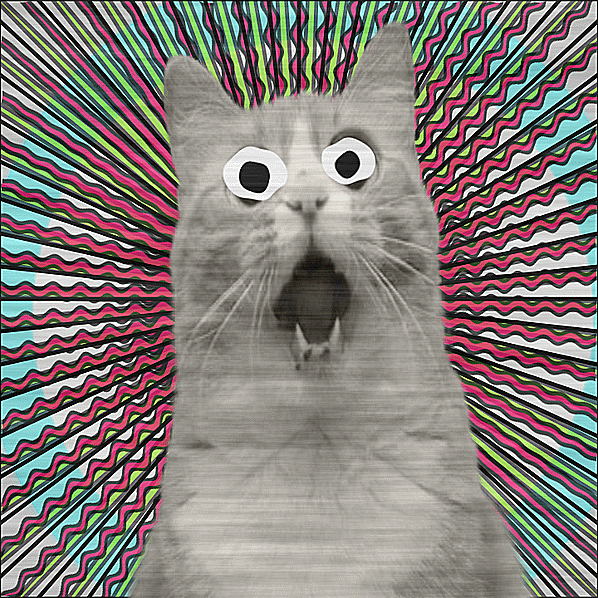 Oh No Omg GIF by Percolate Galactic