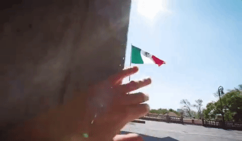 Viva Mexico Flag GIF by México - Find & Share on GIPHY