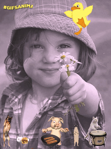#Gifsanima GIF