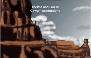 cowgirl  GIF