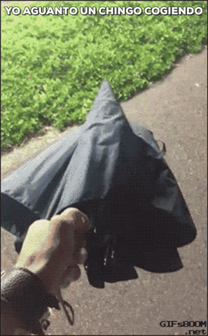elborego  GIF