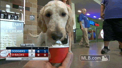 Hungry Ice Cream GIF by MLB - Find & Share on GIPHY