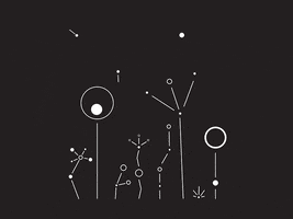 Loop Plants GIF by Oliver Sin
