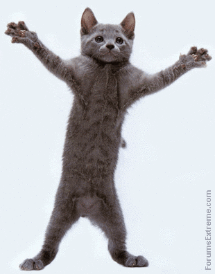 rawr dane off GIF