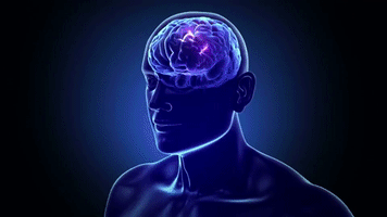 rachel dratch lns204 GIF by truTV's Late Night Snack