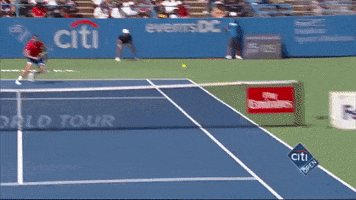 jack sock atp GIF by Tennis Channel