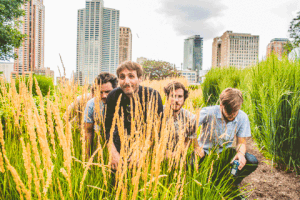 tankboy lollapalooza GIF