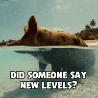 200.gif