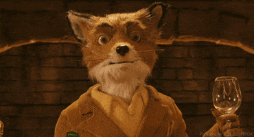 Wes Anderson Smile GIF by 20th Century Fox Home Entertainment