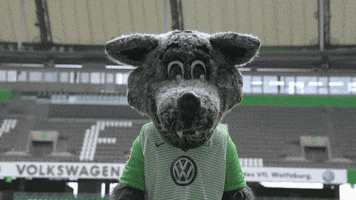 happy party GIF by VfL Wolfsburg