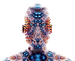 amyoxmx portrait fractal GIF