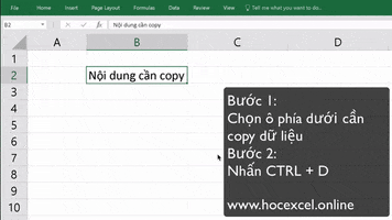 hocexcelonline excel microsoft excel hocexcel.online fill down GIF