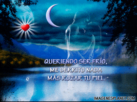 noa  GIF