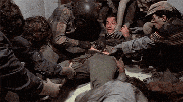 day of the dead horror GIF by Shudder