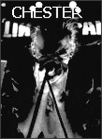 gregorgonzalez group members linkink park GIF