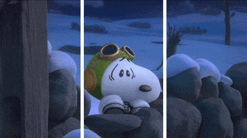 usuario1  GIF