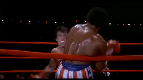 Sylvester Stallone Fight GIF by Rocky - Find & Share on GIPHY