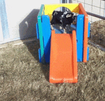 Dead Falling Down GIF by America's Funniest Home Videos